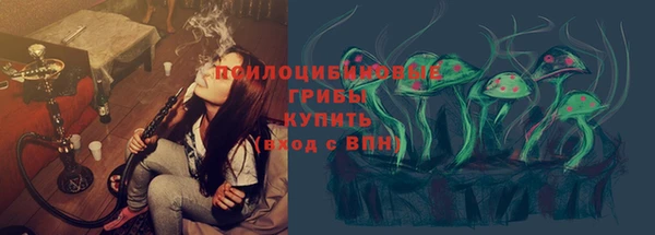 твердый Кукмор