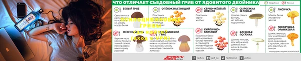 марки lsd Карпинск