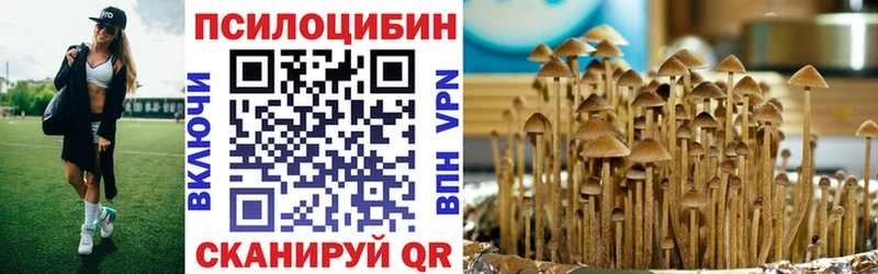 купить наркоту  Красавино  кракен как войти  Галлюциногенные грибы мицелий 